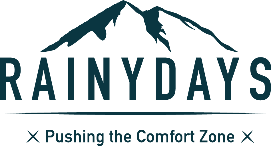 website logo